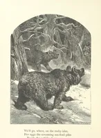 An illustration from Wood-Side and Sea-Side. Illustrated by pen and pencil (1869)
