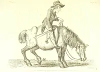 An illustration from Excentric excursions; or, literary and pictorial sketches of countenance, character and country in different parts of England and South Wales ... Embellished with ... prints [by J. Cruikshank (1807)
