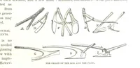 An illustration from The first century of the Republic. A review of American progress. By ... T. D. W., ... F. A. P. Barnard [and others (1876)