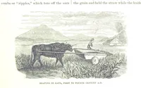 Picture 10 of 128 from The first century of the Republic. A review of American progress. By ... T. D. W., ... F. A. P. Barnard [and others (1876), leaf 53