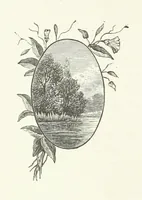An illustration from In the Days of '54. A story of love and sacrifice, etc (1893)
