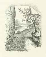 An illustration from In the Days of '54. A story of love and sacrifice, etc (1893)
