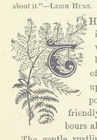 An illustration from In the Days of '54. A story of love and sacrifice, etc (1893)