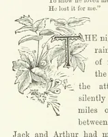 An illustration from In the Days of '54. A story of love and sacrifice, etc (1893)