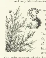 An illustration from In the Days of '54. A story of love and sacrifice, etc (1893)