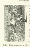 An illustration from In the Days of '54. A story of love and sacrifice, etc (1893)