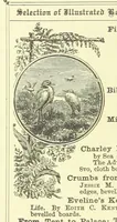An illustration from In the Days of '54. A story of love and sacrifice, etc (1893)