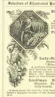 An illustration from In the Days of '54. A story of love and sacrifice, etc (1893)