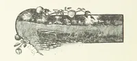 An illustration from In the Days of '54. A story of love and sacrifice, etc (1893)