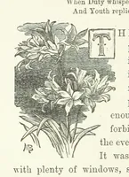 An illustration from In the Days of '54. A story of love and sacrifice, etc (1893)