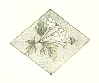 An illustration from The poetical works of William Wordsworth (1878)
