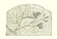 An illustration from The poetical works of William Wordsworth (1878)