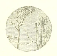 An illustration from The poetical works of William Wordsworth (1878)