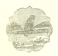 An illustration from The poetical works of William Wordsworth (1878)