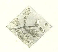 An illustration from The poetical works of William Wordsworth (1878)