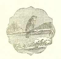 An illustration from The poetical works of William Wordsworth (1878)