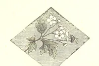 Picture 24 of 32 from The poetical works of William Wordsworth (1878), leaf 307