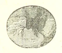 An illustration from The poetical works of William Wordsworth (1878)