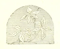 An illustration from The poetical works of William Wordsworth (1878)