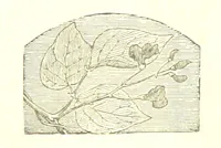 An illustration from The poetical works of William Wordsworth (1878)