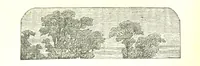 An illustration from The poetical works of William Wordsworth (1878)