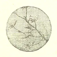 Picture 7 of 32 from The poetical works of William Wordsworth (1878), leaf 73