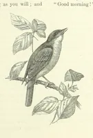 An illustration from The World of Romance. A treasury of tales, legends and traditions. Illustrated (1892)