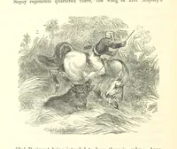 An illustration from The Fife and Drum; or, would be a soldier (1863)