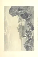Picture 146 of 152 from Belgium, the Rhine, Italy, Greece, and the Shores and Islands of the Mediterranean, illustrated in a series of engravings from drawings on the spot, by T. Allom, Esq., Colonel Cockburn ... With historical, classical and picturesque descriptions by the Rev. G. N. Wright and L. F. A. Buckingham (1851), leaf 595