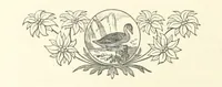 An illustration from A Winter Tour in South Africa, etc (1890)