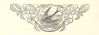 An illustration from A Winter Tour in South Africa, etc (1890)