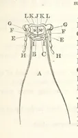 An illustration from Miscellaneous Works ... Vols. I. and II. ... edited by G. Peacock. (Vol. III. ... edited by J. Leitch.) (1858)