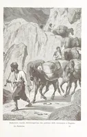 An illustration from La Dalmazia ... illustrata da 76 incisioni, etc (1878)