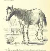 Picture 58 of 181 from The Vicar of Wakefield ... And a prefatory memoir by G. Moir Bussey ... Embellished with ... two hundred engravings on wood, etc (1845), leaf 102
