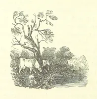 An illustration from The Vicar of Wakefield ... And a prefatory memoir by G. Moir Bussey ... Embellished with ... two hundred engravings on wood, etc (1845)