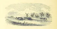 An illustration from The Vicar of Wakefield ... And a prefatory memoir by G. Moir Bussey ... Embellished with ... two hundred engravings on wood, etc (1845)