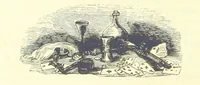 An illustration from The Vicar of Wakefield ... And a prefatory memoir by G. Moir Bussey ... Embellished with ... two hundred engravings on wood, etc (1845)