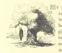 Picture 158 of 181 from The Vicar of Wakefield ... And a prefatory memoir by G. Moir Bussey ... Embellished with ... two hundred engravings on wood, etc (1845), leaf 260