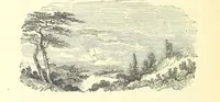 An illustration from The Vicar of Wakefield ... And a prefatory memoir by G. Moir Bussey ... Embellished with ... two hundred engravings on wood, etc (1845)