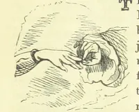 An illustration from The Vicar of Wakefield ... And a prefatory memoir by G. Moir Bussey ... Embellished with ... two hundred engravings on wood, etc (1845)