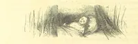 An illustration from The Vicar of Wakefield ... And a prefatory memoir by G. Moir Bussey ... Embellished with ... two hundred engravings on wood, etc (1845)