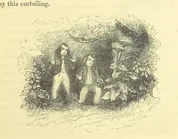 Picture 29 of 181 from The Vicar of Wakefield ... And a prefatory memoir by G. Moir Bussey ... Embellished with ... two hundred engravings on wood, etc (1845), leaf 61