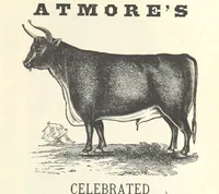 An illustration from 1776 American Enterprise. 1876. Burley's United States Centennial Gazetteer and Guide 1876 ... C. H. Kidder, editor, etc (1876)