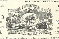 An illustration from 1776 American Enterprise. 1876. Burley's United States Centennial Gazetteer and Guide 1876 ... C. H. Kidder, editor, etc (1876)