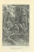 An illustration from Tom Cringle's log...Illustrated by J.A. Symington, etc (1895)