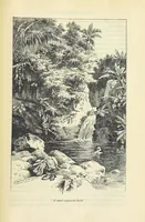 An illustration from Tom Cringle's log...Illustrated by J.A. Symington, etc (1895)