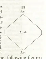Picture 38 of 211 from A System of Mineralogy, comprising the most recent discoveries ... Third edition, rewritten, rearranged and enlarged (1850), leaf 153
