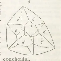 An illustration from A System of Mineralogy, comprising the most recent discoveries ... Third edition, rewritten, rearranged and enlarged (1850)