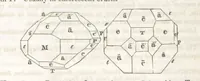 An illustration from A System of Mineralogy, comprising the most recent discoveries ... Third edition, rewritten, rearranged and enlarged (1850)
