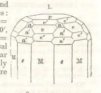 Picture 55 of 211 from A System of Mineralogy, comprising the most recent discoveries ... Third edition, rewritten, rearranged and enlarged (1850), leaf 230